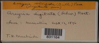 Image Associated With the Occurence